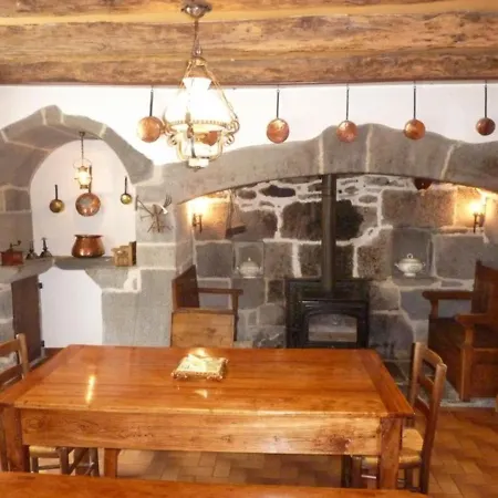 Maison Renovee A Avec Grand Jardin, Proche De Salers Et Du Puy Mary - 8 Pers. - Fr-1-742-411 Holiday home
